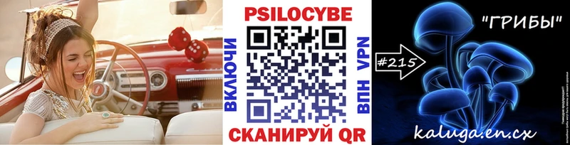 цены   Обнинск  Галлюциногенные грибы Psilocybine cubensis 